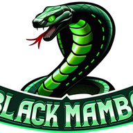 Black Mamba logo